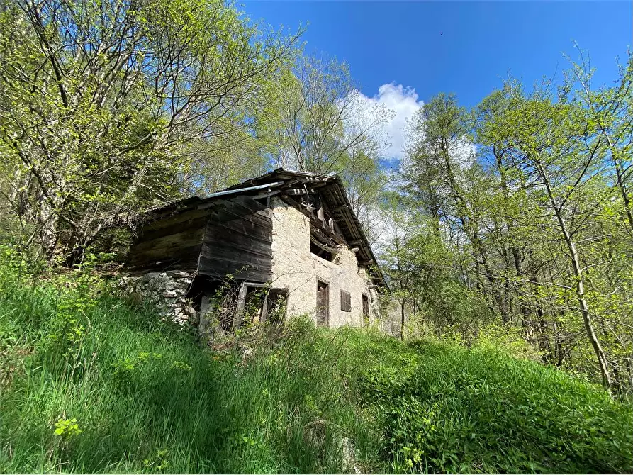 Immagine 2 di Baita in vendita  a Torcegno