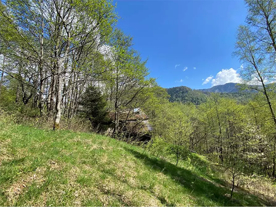 Immagine 5 di Baita in vendita  a Torcegno