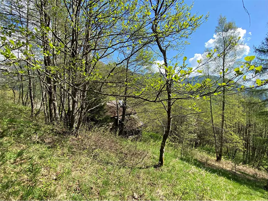 Immagine 11 di Baita in vendita  a Torcegno