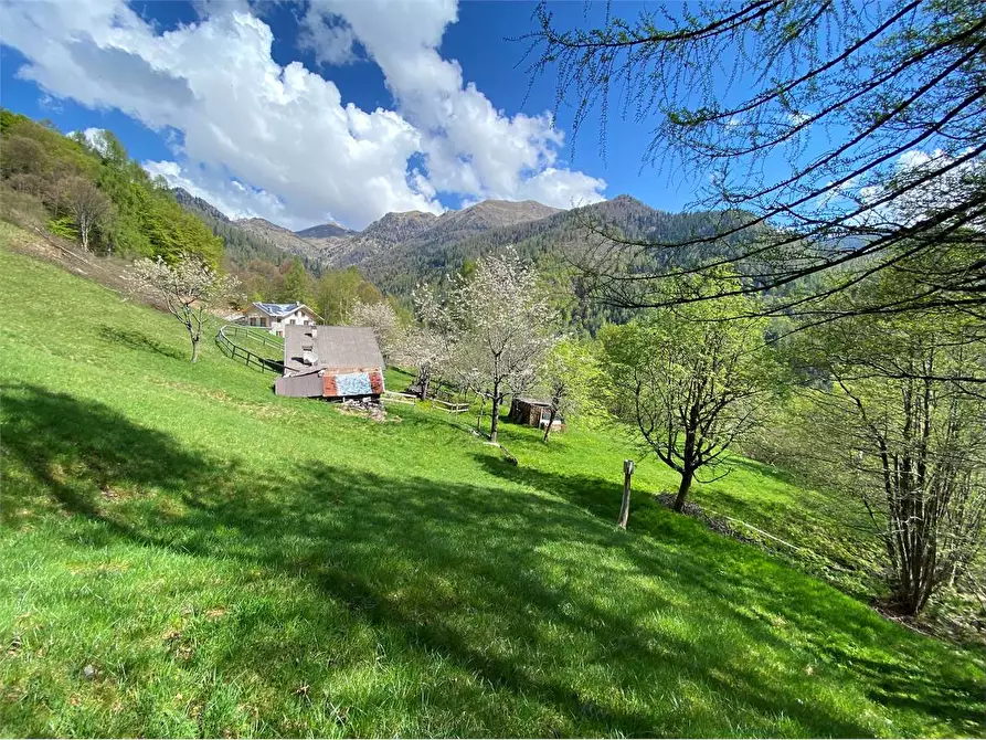 Immagine 10 di Baita in vendita  a Torcegno