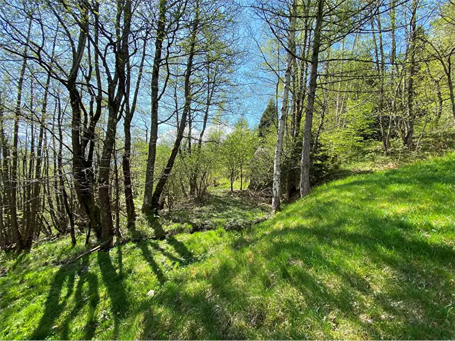 Immagine 9 di Baita in vendita  a Torcegno