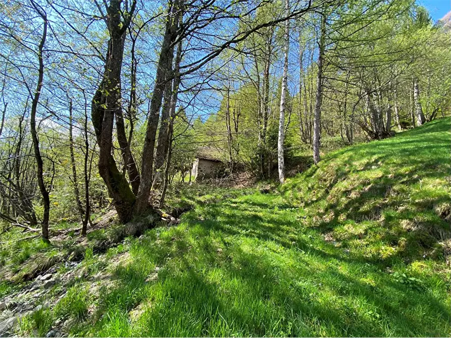 Immagine 7 di Baita in vendita  a Torcegno