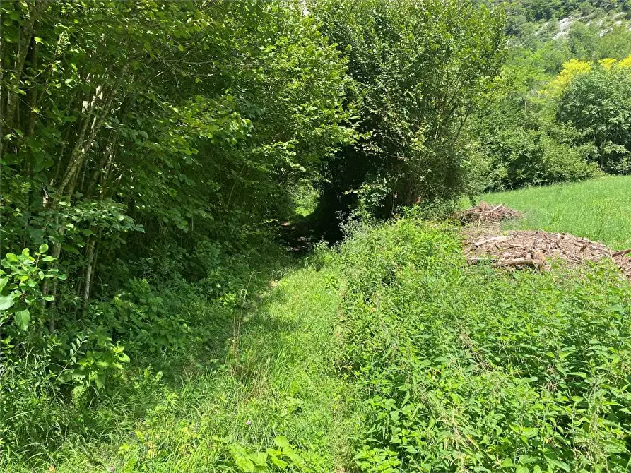 Immagine 6 di Rustico / casale in vendita  in LOCALITA' BRONZALE a Ospedaletto