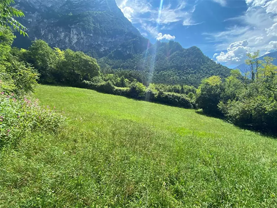 Immagine 9 di Rustico / casale in vendita  in LOCALITA' BRONZALE a Ospedaletto