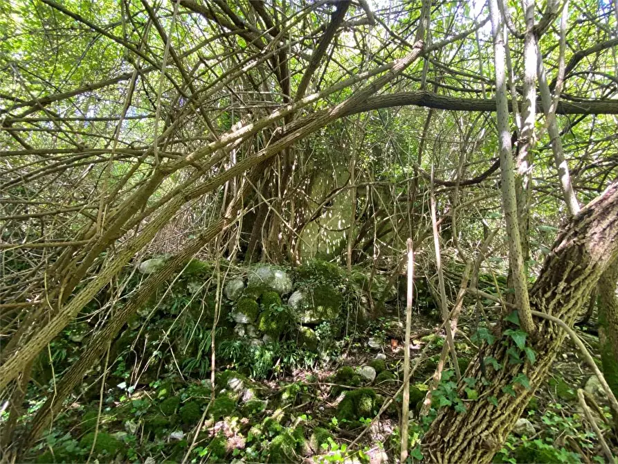 Immagine 2 di Rustico / casale in vendita  in LOCALITA' BRONZALE a Ospedaletto