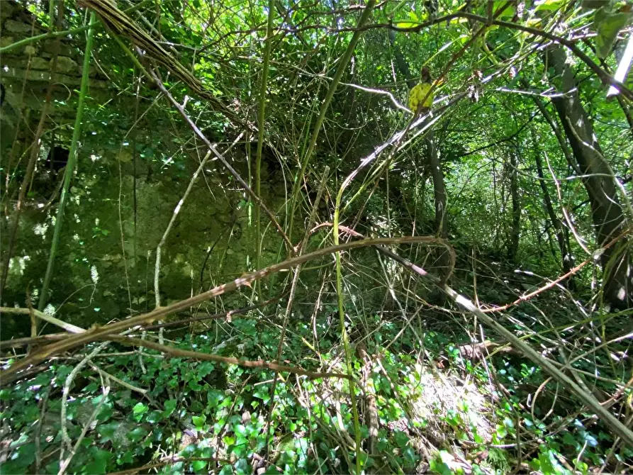 Immagine 3 di Rustico / casale in vendita  in LOCALITA' BRONZALE a Ospedaletto