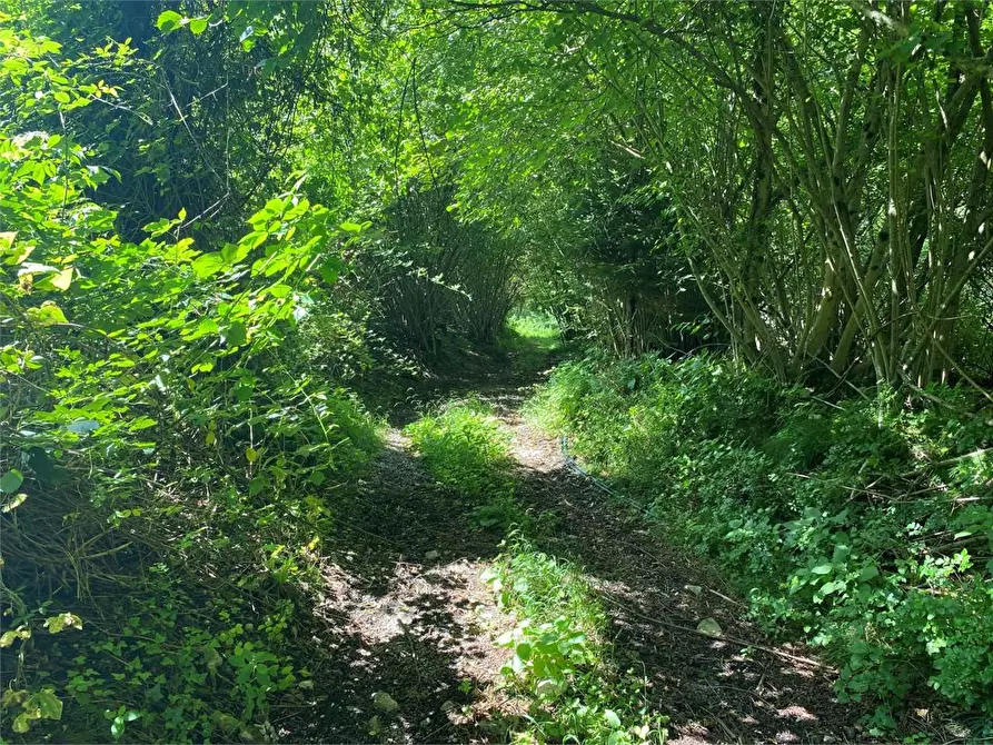 Immagine 10 di Rustico / casale in vendita  in LOCALITA' BRONZALE a Ospedaletto