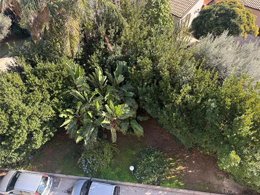 Immagine 20 di Trilocale in affitto  a Siracusa