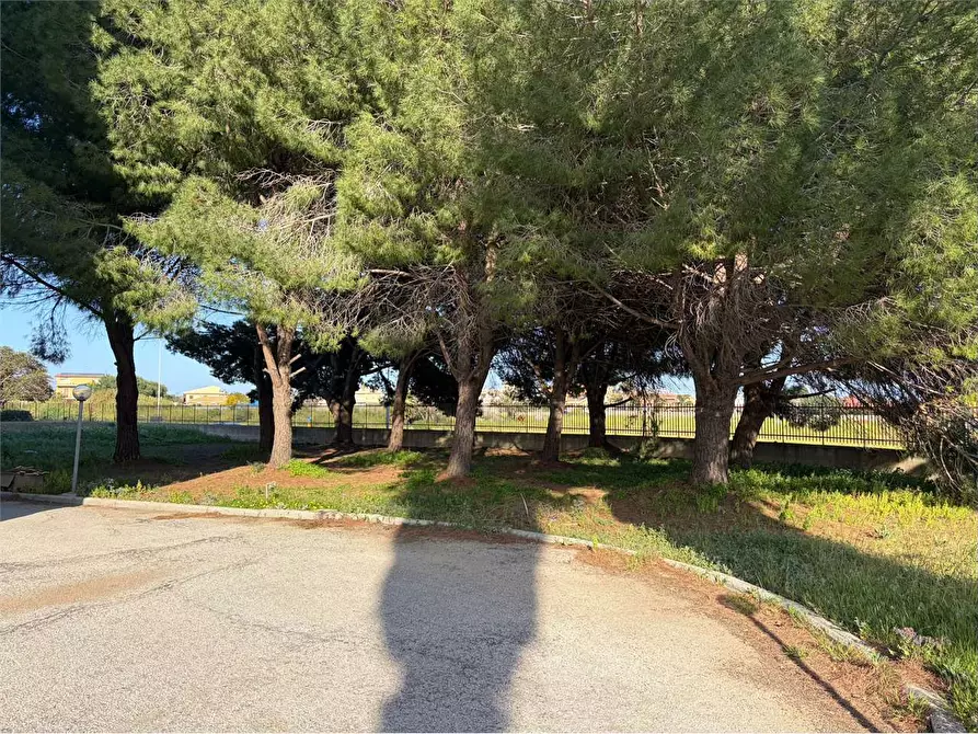 Immagine 31 di Appartamento in affitto  a Siracusa