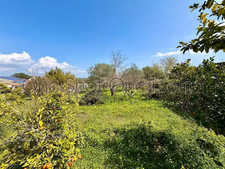 Immagine 14 di Rustico / casale in vendita  in Via per Canicattini 1 a Canicattini Bagni