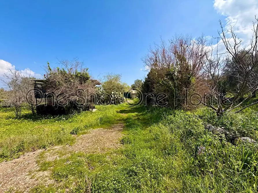 Immagine 26 di Rustico / casale in vendita  in Via per Canicattini 1 a Canicattini Bagni