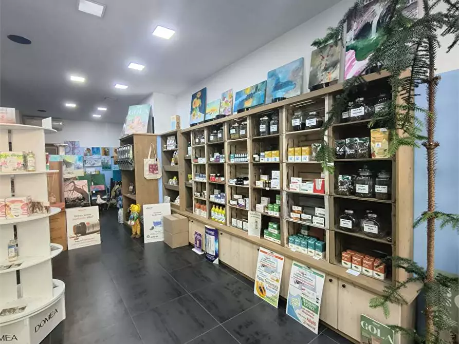 Immagine 5 di Negozio in affitto  in Viale XXIV Maggio a Collegno