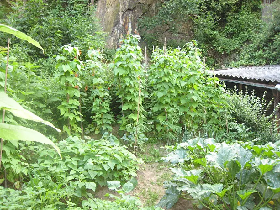 Immagine 7 di Rustico / casale in vendita  in pallanzeno 2 a Piedimulera