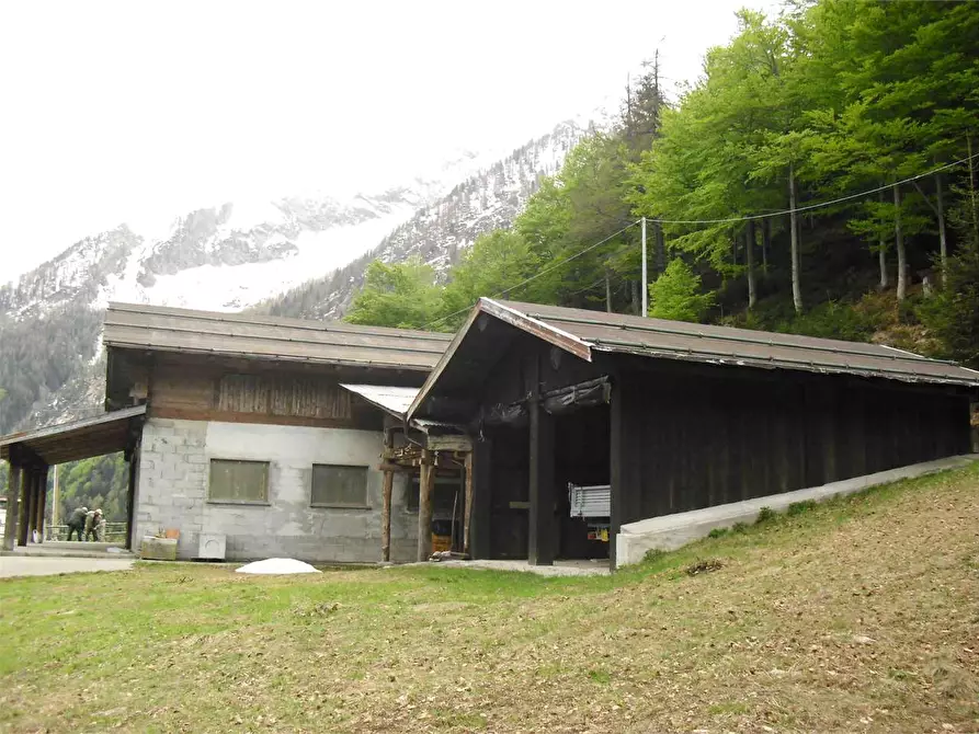 Immagine 3 di Azienda agricola in vendita  in LOC.MOTTA a Macugnaga