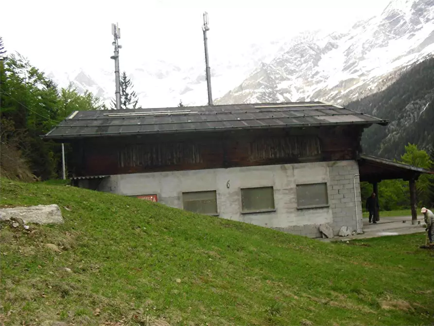 Immagine 4 di Azienda agricola in vendita  in LOC.MOTTA a Macugnaga