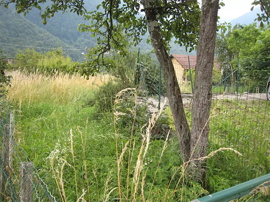 Immagine 23 di Baita in vendita  in barzona 10 a Calasca-Castiglione