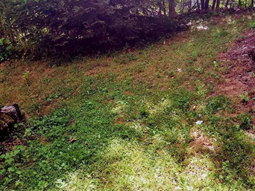 Immagine 32 di Mansarda in vendita  in CAMPIIOLI a Ceppo Morelli