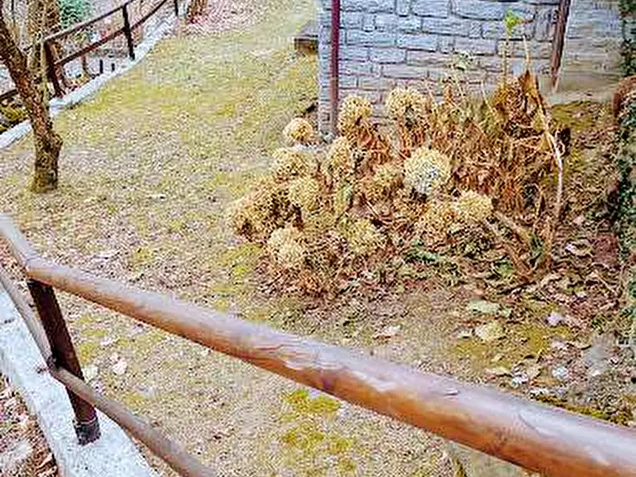 Immagine 51 di Villa in vendita  in san giovanni bionda 18 a Vanzone Con San Carlo