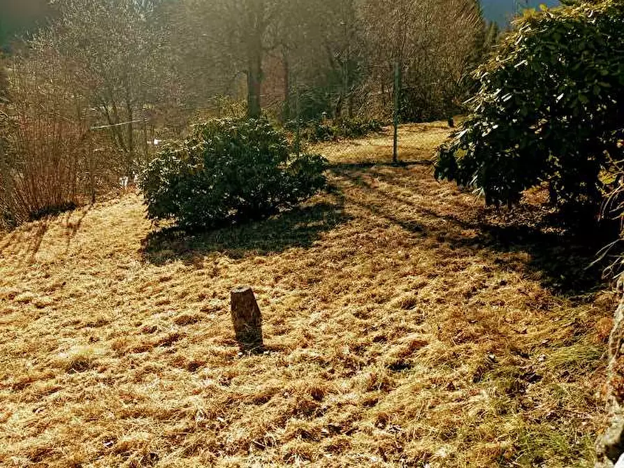 Immagine 41 di Porzione di casa in vendita  in SS549 a Vanzone Con San Carlo