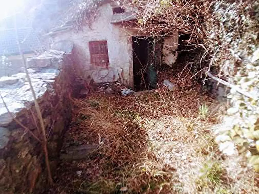 Immagine 11 di Casa indipendente in vendita  in via umberto 1 a Premosello-Chiovenda