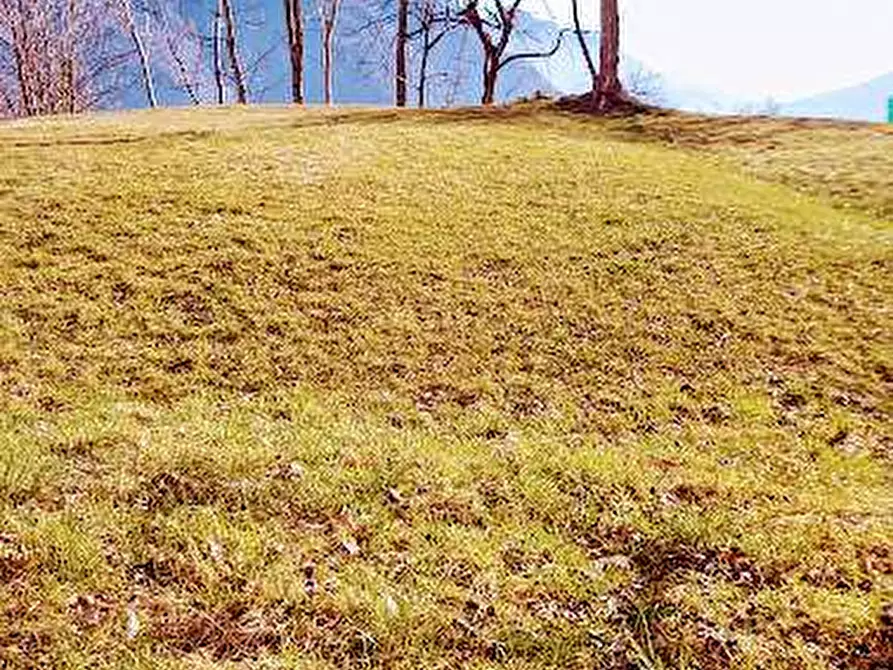 Immagine 20 di Baita in vendita  in casa del conte a Pieve Vergonte