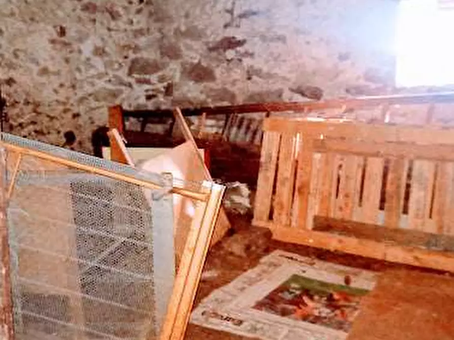 Immagine 26 di Casa indipendente in vendita  in VIA VITTORIO EMANUELE 13 a Bannio Anzino