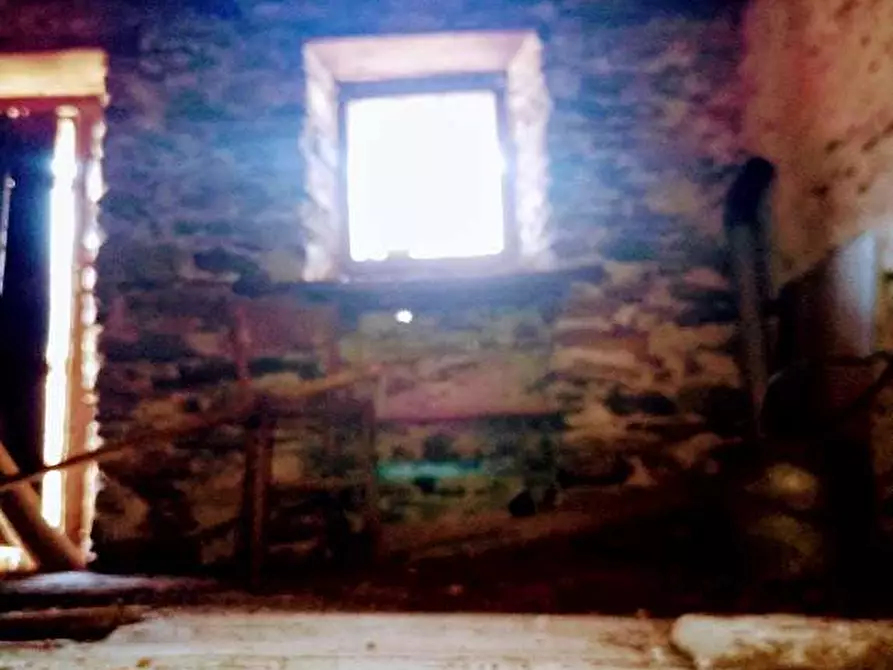 Immagine 24 di Baita in vendita  in messasca a Bognanco