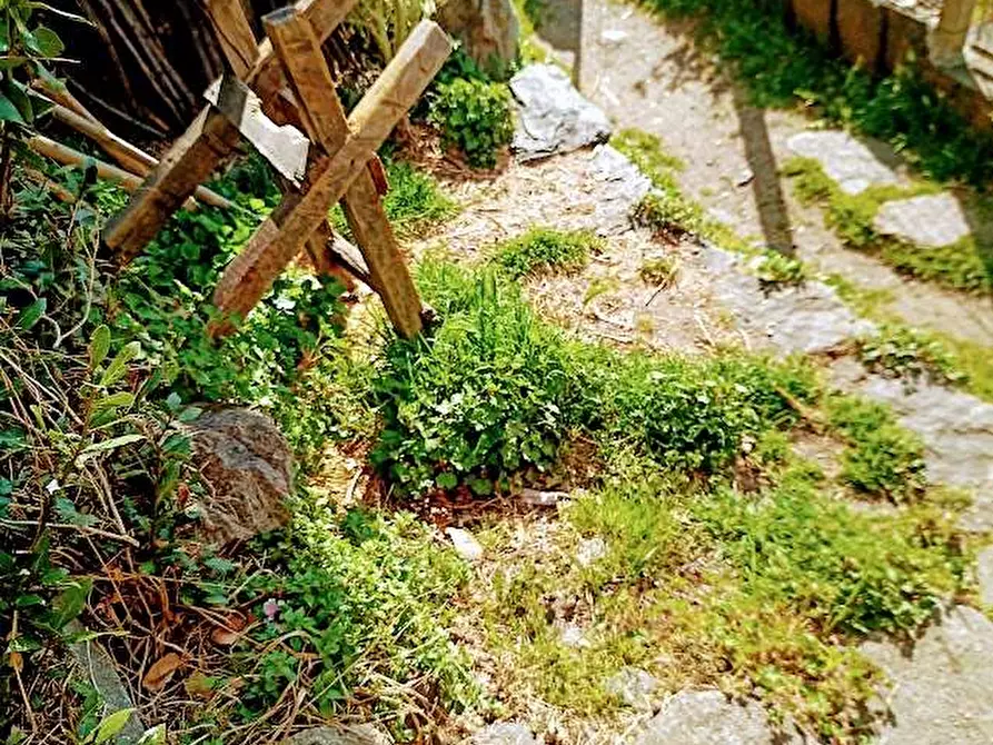 Immagine 8 di Rustico / casale in vendita  in BORGATA CASA DEI CONTI a Villadossola