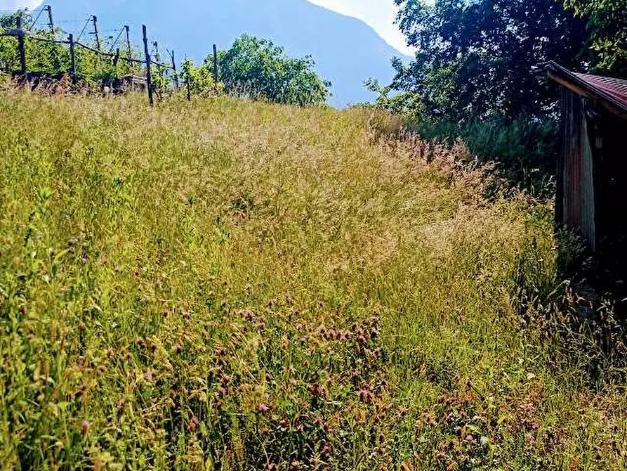 Immagine 31 di Casa indipendente in vendita  in fomarco 10 a Pieve Vergonte