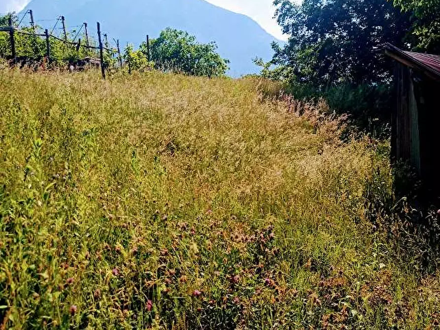 Immagine 32 di Casa indipendente in vendita  in fomarco 10 a Pieve Vergonte