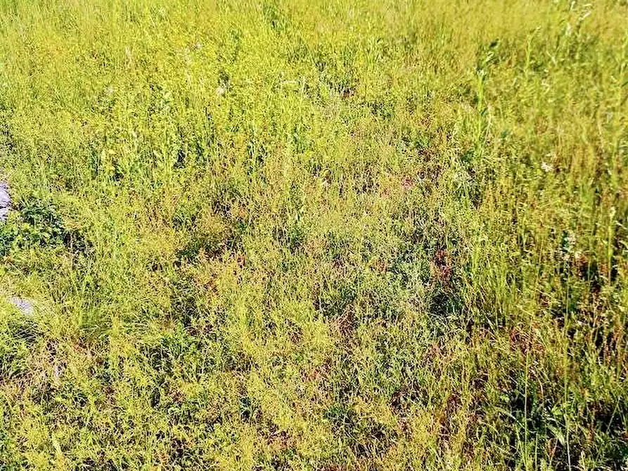 Immagine 28 di Casa indipendente in vendita  in fomarco 10 a Pieve Vergonte