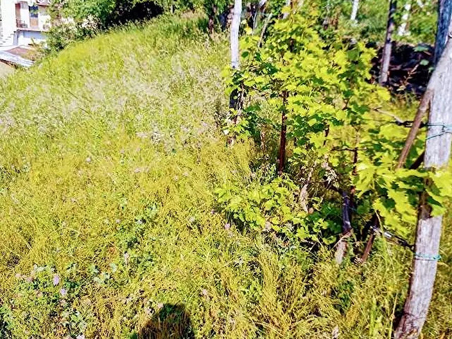 Immagine 27 di Casa indipendente in vendita  in fomarco 10 a Pieve Vergonte