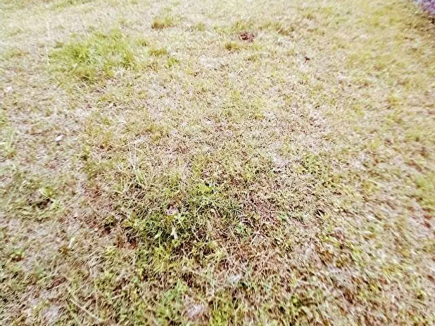 Immagine 14 di Rustico / casale in vendita  in CENTRO 4 a Pieve Vergonte