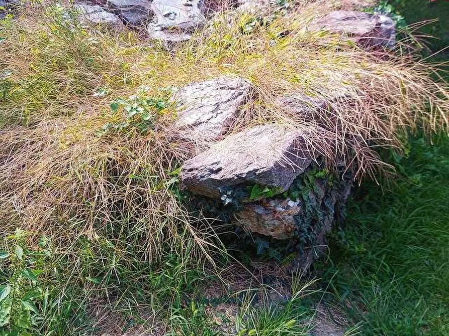 Immagine 32 di Baita in vendita  in apri a Piedimulera