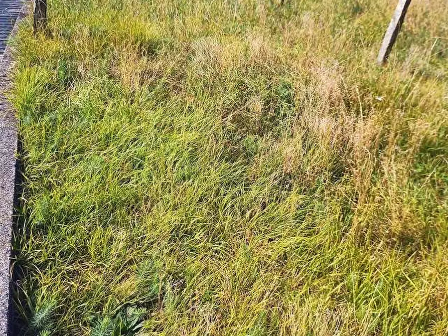 Immagine 33 di Baita in vendita  in apri a Piedimulera