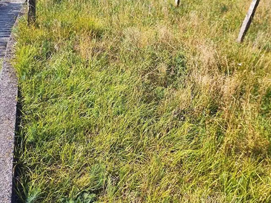 Immagine 34 di Baita in vendita  in apri a Piedimulera