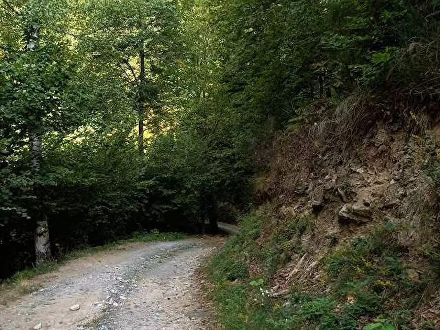 Immagine 28 di Rustico / casale in vendita  in LOC. CAIA a Druogno