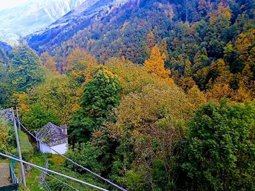 Immagine 71 di Casa indipendente in vendita  in fonti a Bognanco