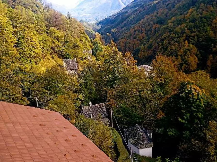 Immagine 79 di Casa indipendente in vendita  in fonti a Bognanco