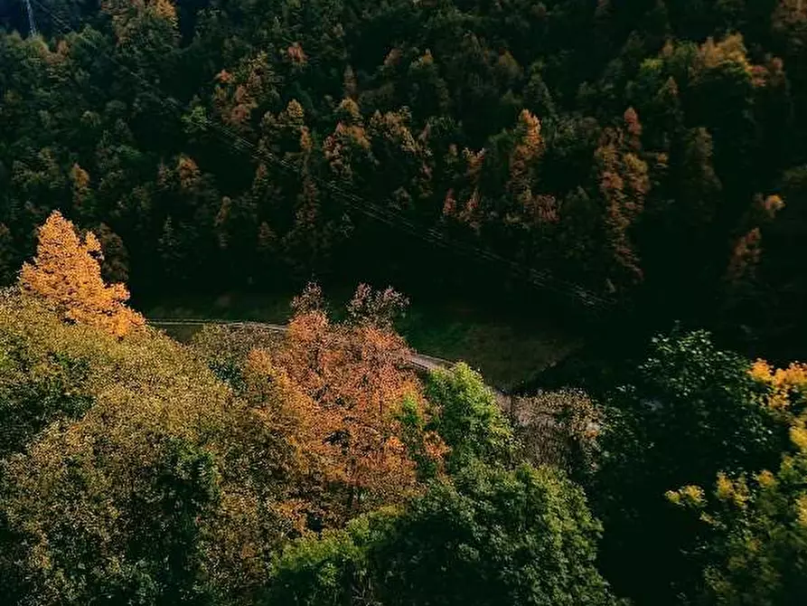Immagine 80 di Casa indipendente in vendita  in fonti a Bognanco