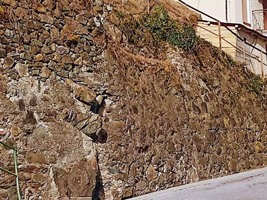 Immagine 85 di Casa indipendente in vendita  in fonti a Bognanco