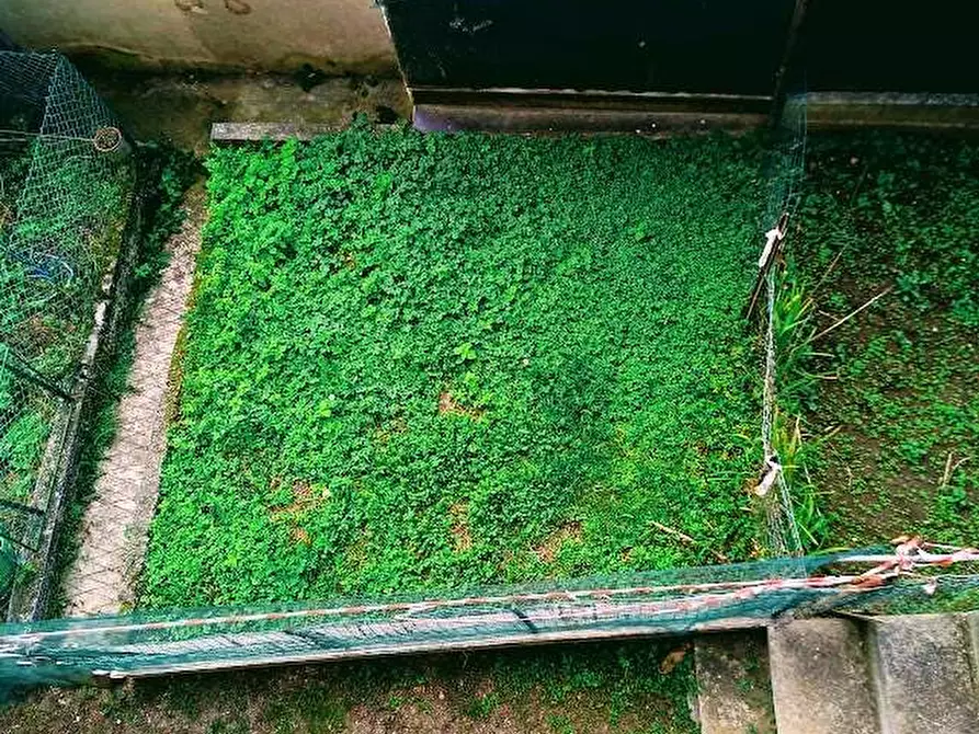 Immagine 22 di Appartamento in vendita  in Via Guglielmo Marconi,  4 a Bognanco