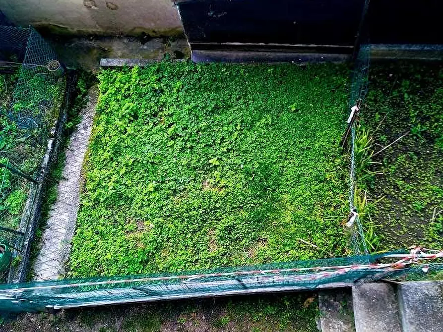 Immagine 23 di Appartamento in vendita  in Via Guglielmo Marconi,  4 a Bognanco