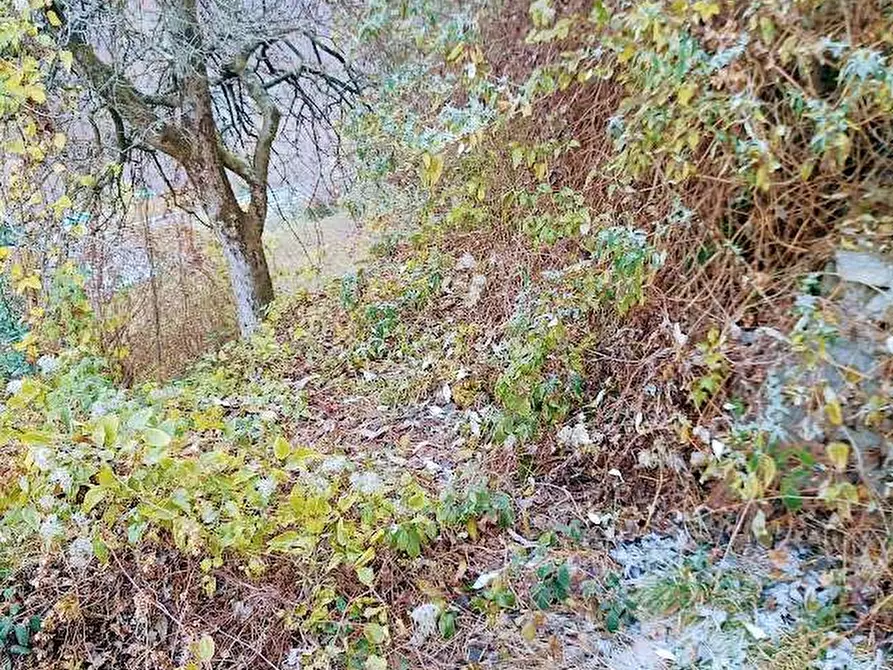 Immagine 13 di Rustico / casale in vendita  in CIMAMULERA a Piedimulera