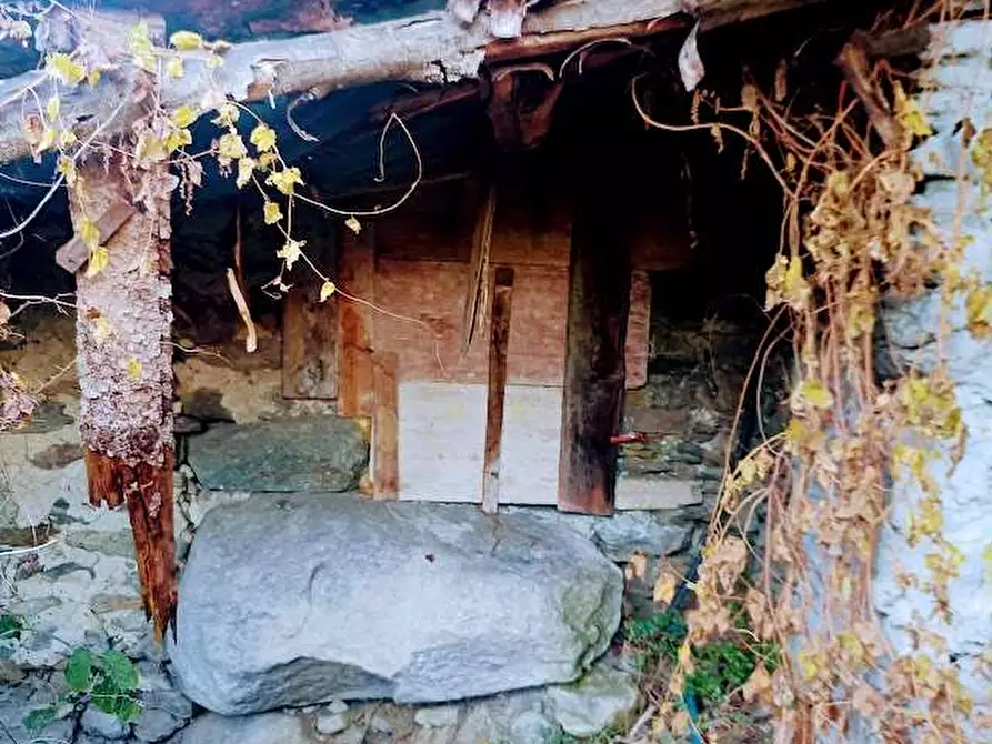 Immagine 12 di Rustico / casale in vendita  in CIMAMULERA a Piedimulera
