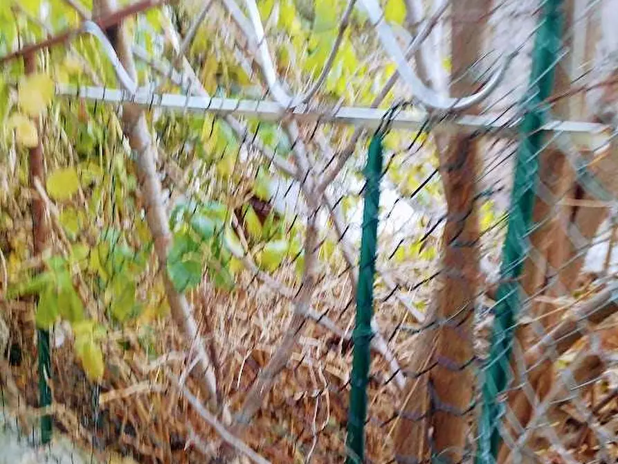 Immagine 33 di Rustico / casale in vendita  in CIMAMULERA a Piedimulera