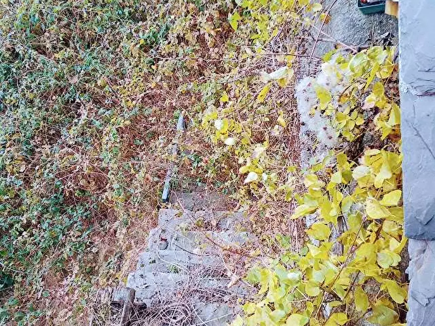 Immagine 32 di Rustico / casale in vendita  in CIMAMULERA a Piedimulera