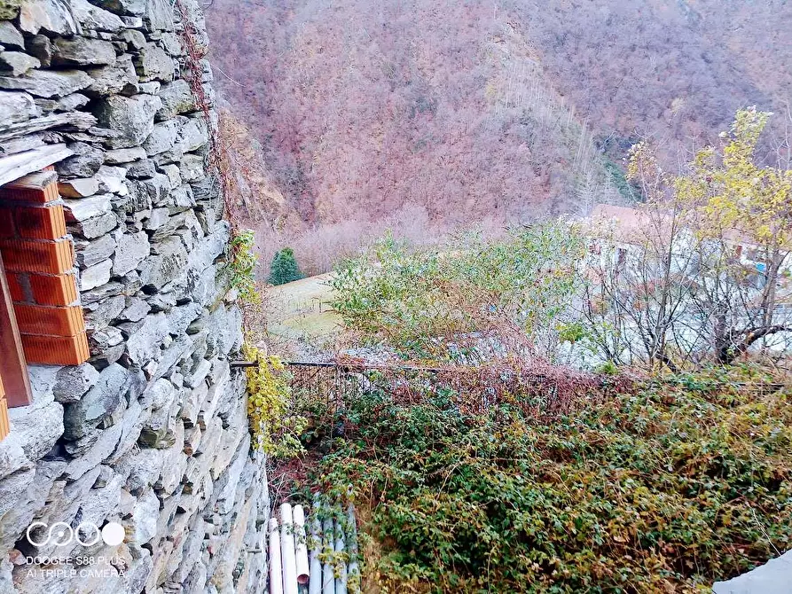 Immagine 25 di Rustico / casale in vendita  in CIMAMULERA a Piedimulera