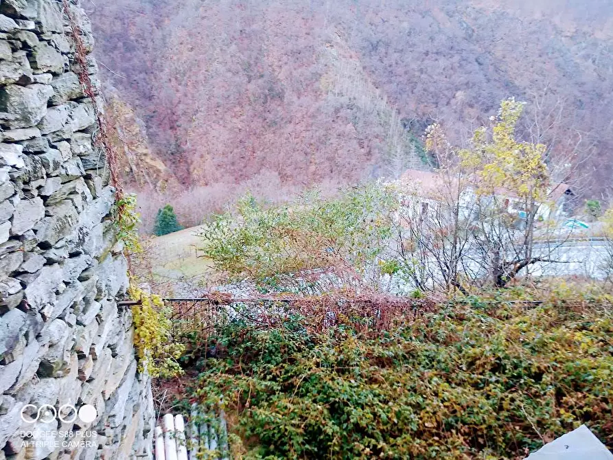 Immagine 27 di Rustico / casale in vendita  in CIMAMULERA a Piedimulera