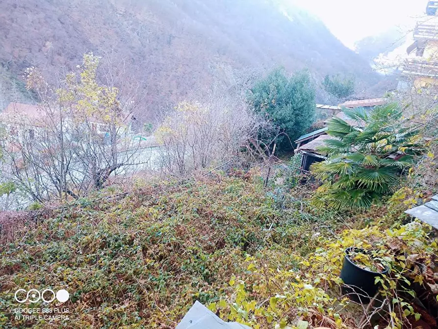 Immagine 28 di Rustico / casale in vendita  in CIMAMULERA a Piedimulera